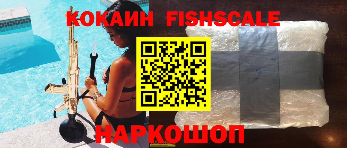 Баксан  продажа наркотиков  Вход с VPN  Кокаин FishScale  Cocaine Fish Scale 