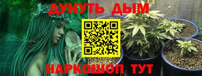 тгк Апшеронск