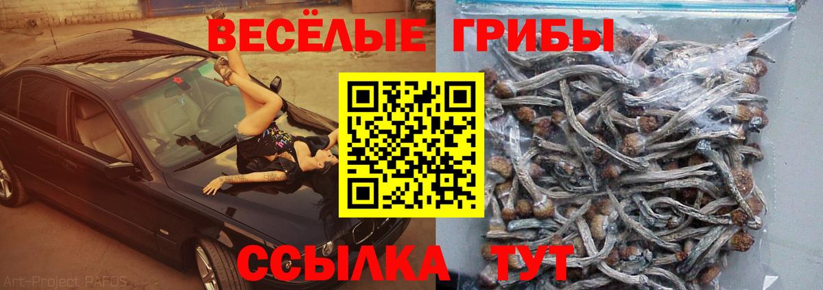 Псилоцибиновые грибы ЛСД Баксан