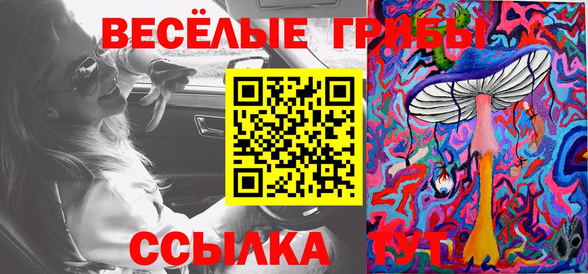Баксан  цены   Галлюциногенные грибы Magic Shrooms  Вход с VPN  Псилоцибиновые грибы MAGIC MUSHROOMS 